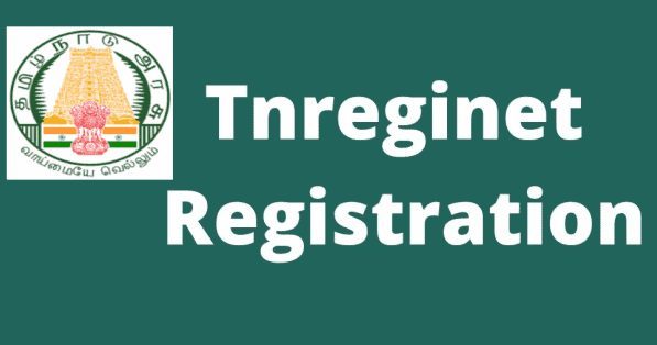 Tnreginet Registration: Guide Value Search, Know Jurisdiction, Apply EC