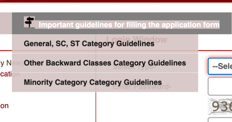 Essential guidelines for filling the application form